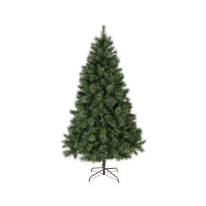 Sapin ontario 180 cm