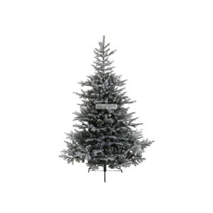 Sapin grandis enneig 300 cm