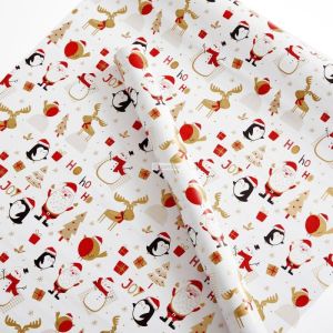 Papier cadeau pre nol blanc 0.7 x 50 m