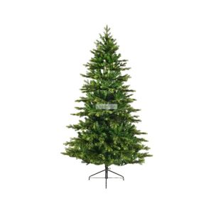 Sapin galloway 300 cm