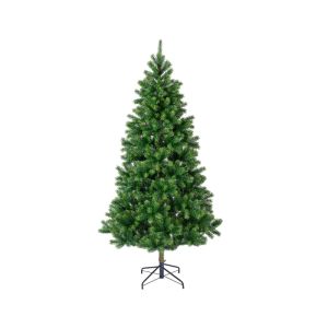 Sapin kenmore 240 cm