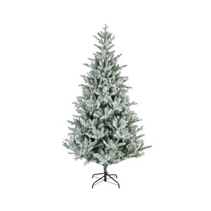 Sapin allison enneig 210 cm