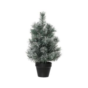 Sapin canada givre 45 cm