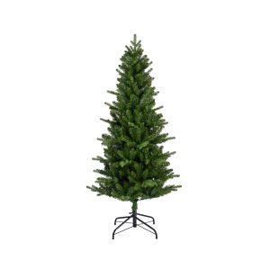 Sapin killington 180 cm