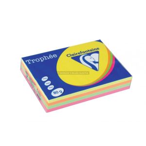 500 feuilles de papier couleurs fluo a4 80 g clairefontaine trophe