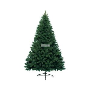 Sapin canada 210 cm