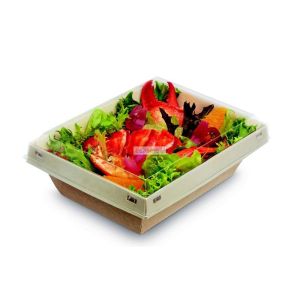 20 barquettes fond carton et couvercle pet